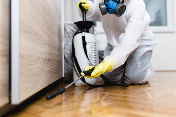 Best Rat Extermination Near Me  in Trempealeau, WI