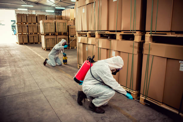 Wasp Removal Services in Trempealeau, WI