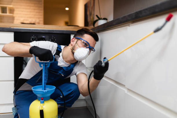 Best Flea Control Services  in Trempealeau, WI