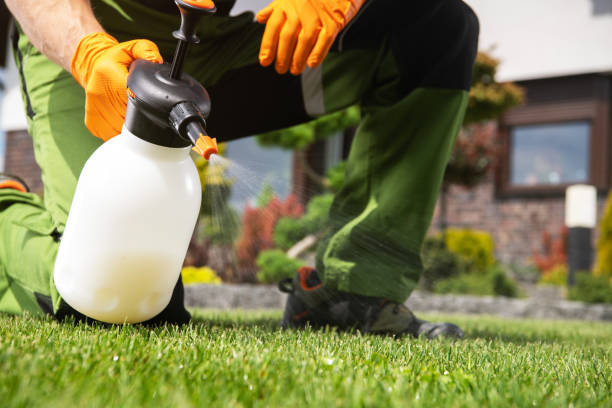 Best Mosquito Control Services  in Trempealeau, WI