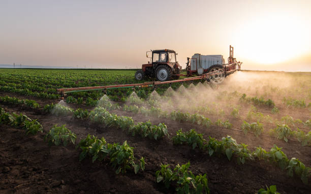 Best Ant Control Services  in Trempealeau, WI