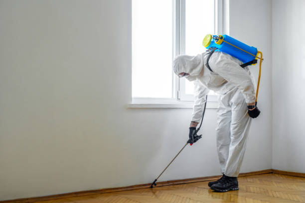Best Termite Control Services  in Trempealeau, WI