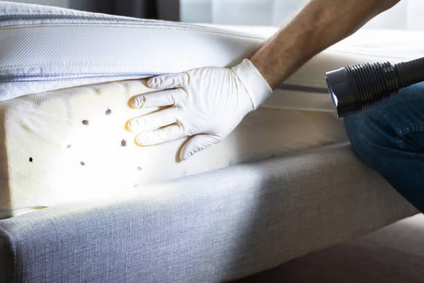 Professional Pest Control in Trempealeau, WI