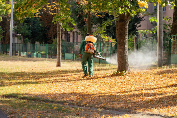 Best Spider Control Near Me  in Trempealeau, WI