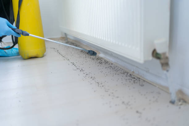 Best Best Pest Control Companies  in Trempealeau, WI