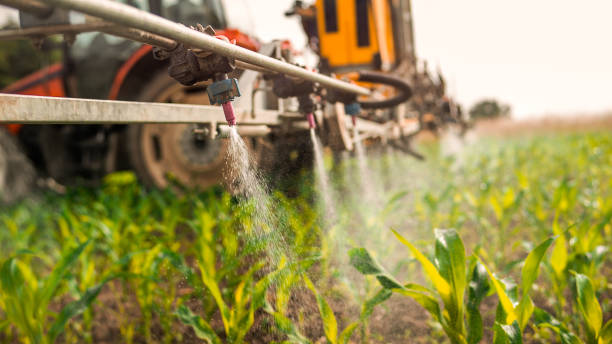Pest Prevention Services in Trempealeau, WI
